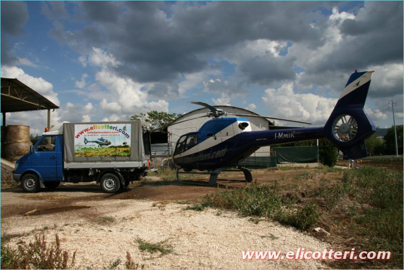elifoto (222)